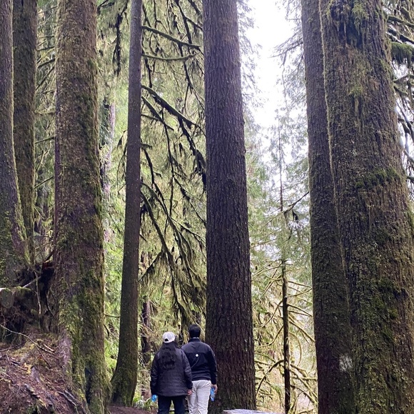 Meet your Posher, Manika - Picture 1 of 1